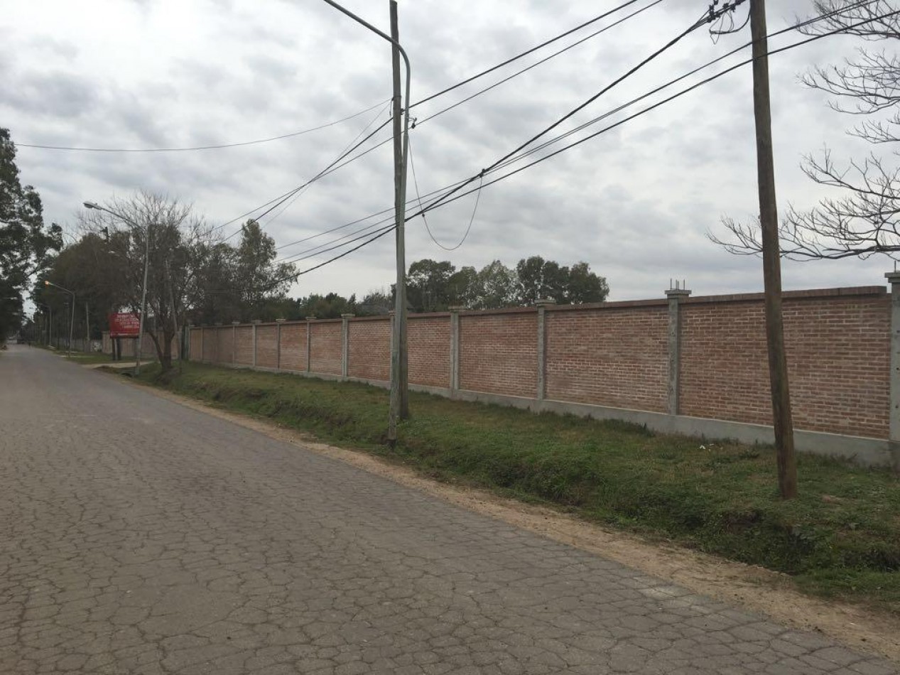 LOTE de 12.000m2 - Benavidez 